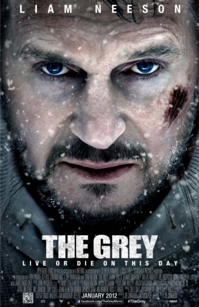 the-grey-poster